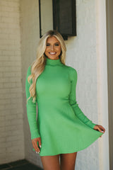 Jayde Sweater Knit DressApple Green